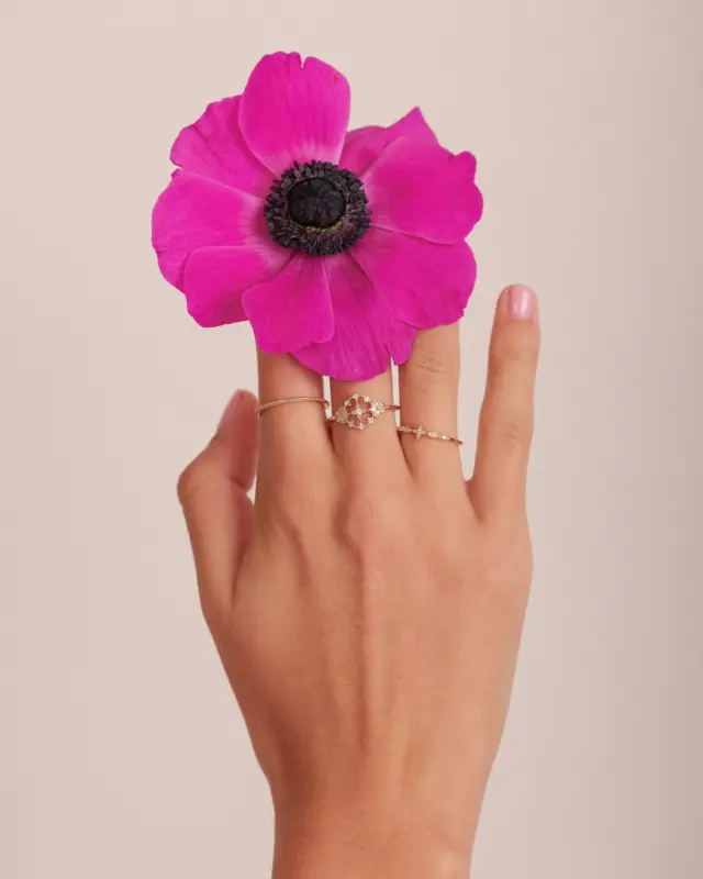 🌸 Les nouveautés sont arrivées ! Nos petites merveilles sont enfin disponibles sur notre boutique en ligne 
 
Créoles scintillantes, bagues dentelles glamours, 
earcuff, collier croix en T... 
... détails rocks et éclats de diamants.
 
Des pièces fines, modernes et lumineuses pensées pour sublimer vos looks d’été.
 
Croquez l’été. Osez briller, soyez unique.

🌸 The new arrivals are here! Our little treasures are finally available on our online boutique.

Sparkling hoops, glamorous lace rings,
earcuffs, T-bar cross necklaces…
… rock details and diamond sparkles.

Delicate, modern, and radiant pieces designed to elevate your summer looks.

Embrace summer. Dare to shine, be unique.

#jewelryaddict #jewelrydesigner #jewelrylover#earringsoftheday #earringstud #hoopearring #ringoftheday #jewelryoftheday #ringlover #necklaceaddict #ringaddict #earringstyle #birthgift #baguedefiancailles #engagementring #weddingband #frenchjewelry #jewelrymaker #jewelrygift #jewelrygiftideas #angelebroussejewelry